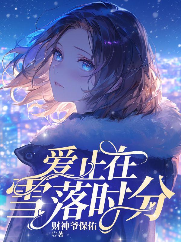 爱止在雪落时分