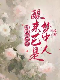 烟雨暗黄昏，醒来已是梦中人