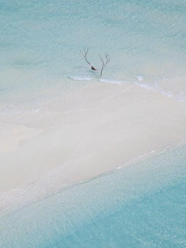 兽医婆婆和禽兽老公