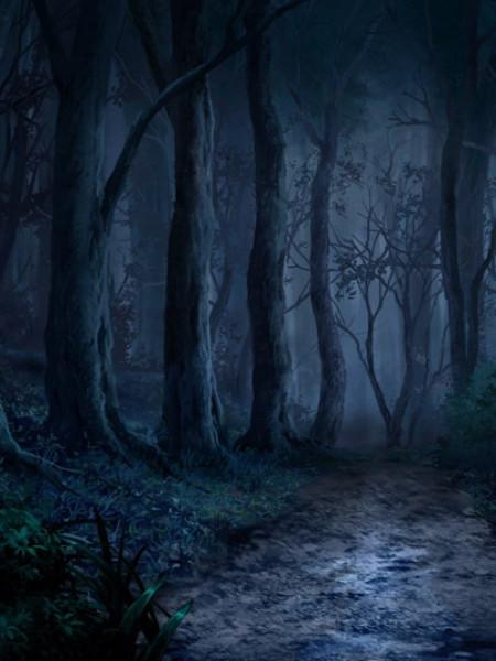 哀牢山探秘回忆录