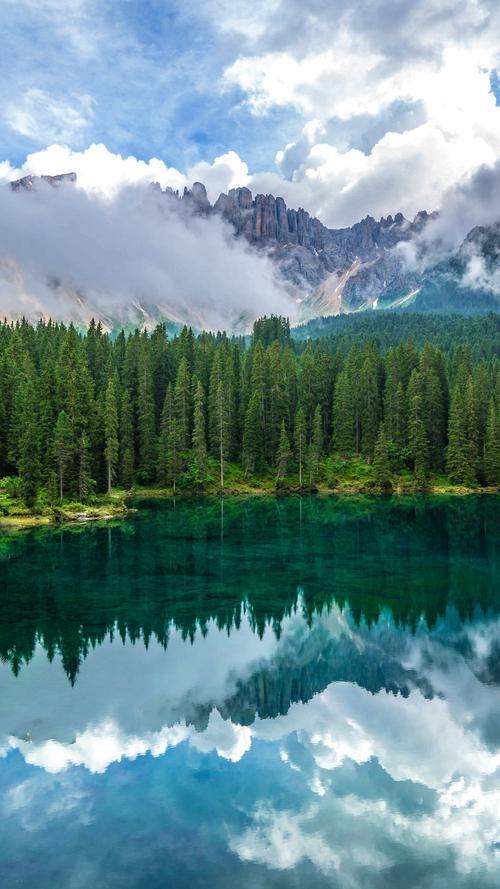 丈夫把他白月光送进监狱