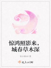 惊鸿照影来，城春草木深