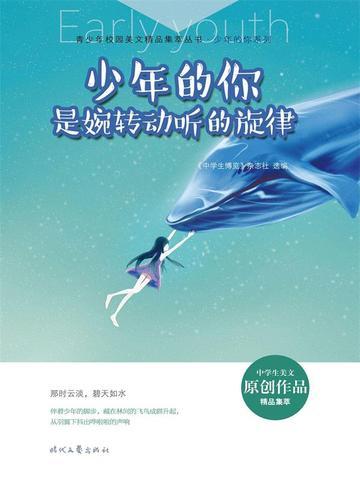 少年的你是婉转动听的旋律