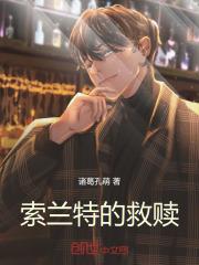 索兰特大陆：救赎日记