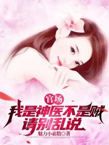官场，我是神医不是贼，请别乱说