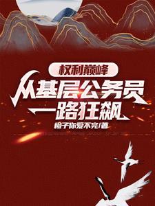 权力巅峰：从基层公务员一路狂飙
