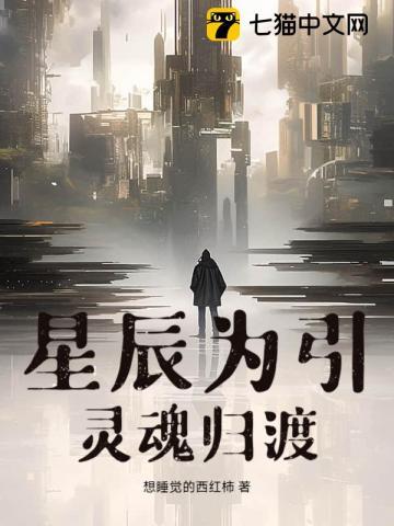 星辰为引：灵魂归渡