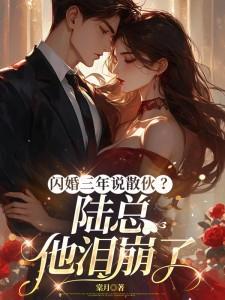 闪婚三年说散伙？陆总他泪崩了