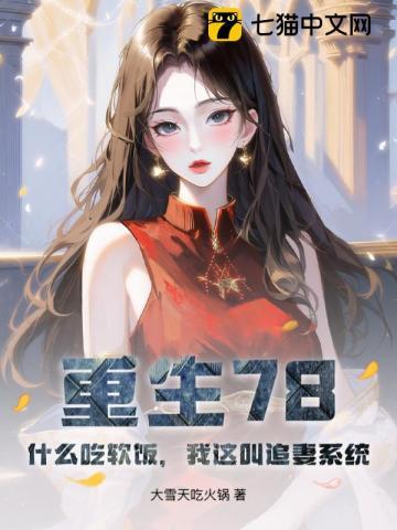 重生78：什么吃软饭，我这叫追妻系统