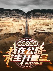 收美女图鉴，我在公路求生开盲盒