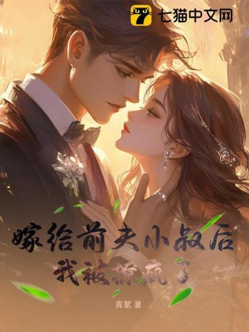 嫁给前夫小叔后，我被撩疯了