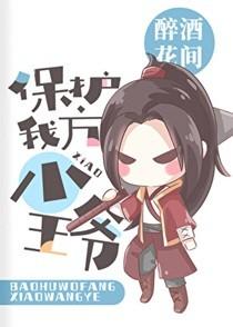 [综武侠]保护我方小王爷
