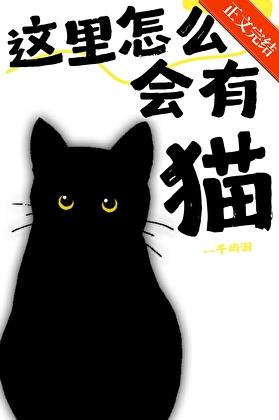 [综英美]这里怎么会有猫